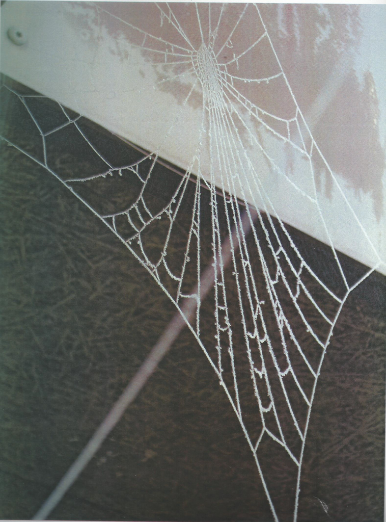 pi4-2 convergencia en un punto