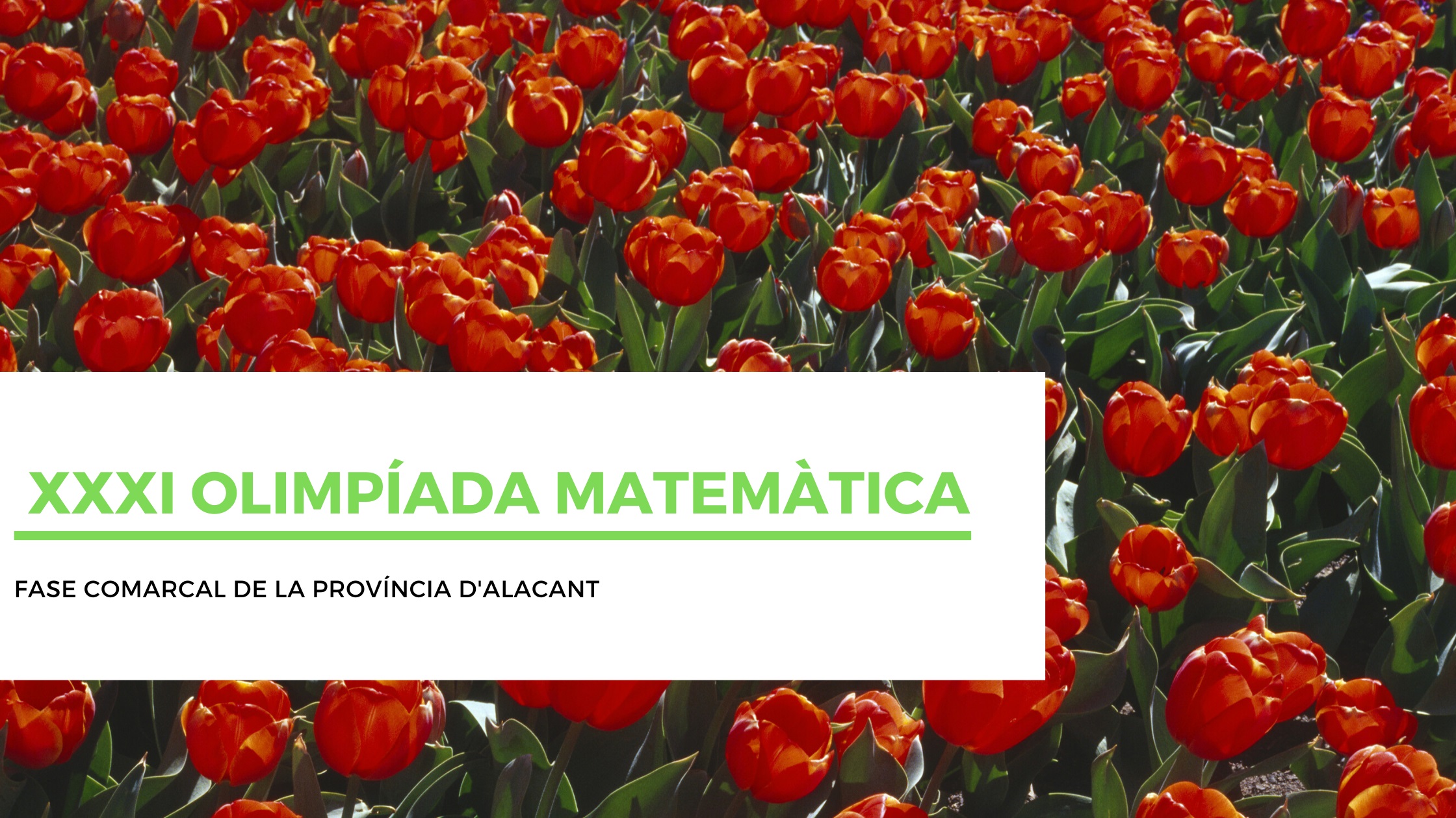 FASE COMARCAL ALACANT 2021