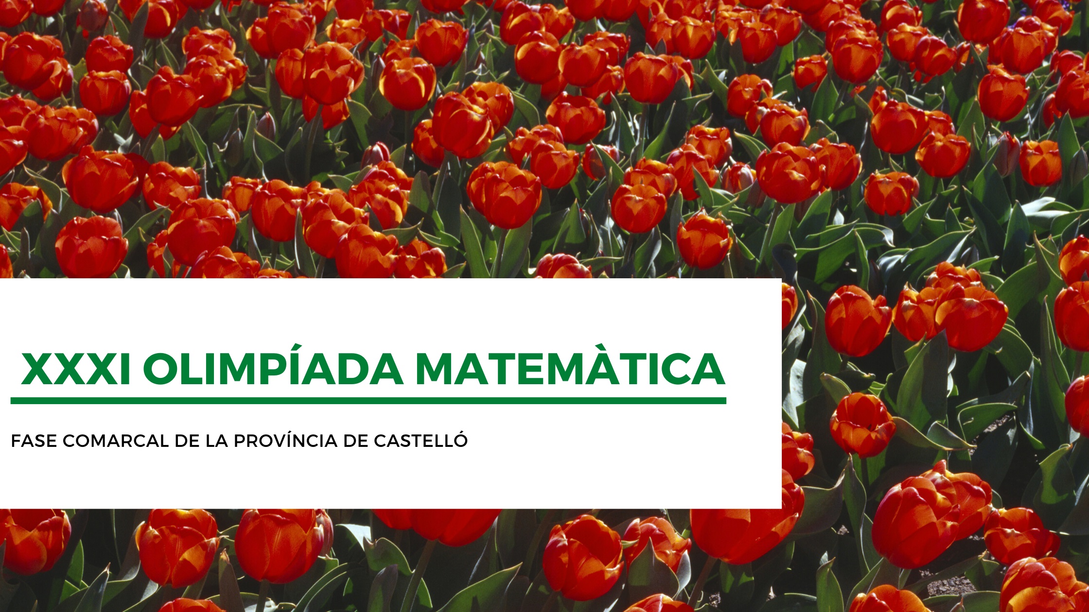 FASEPROVINCIALCastelló 2021