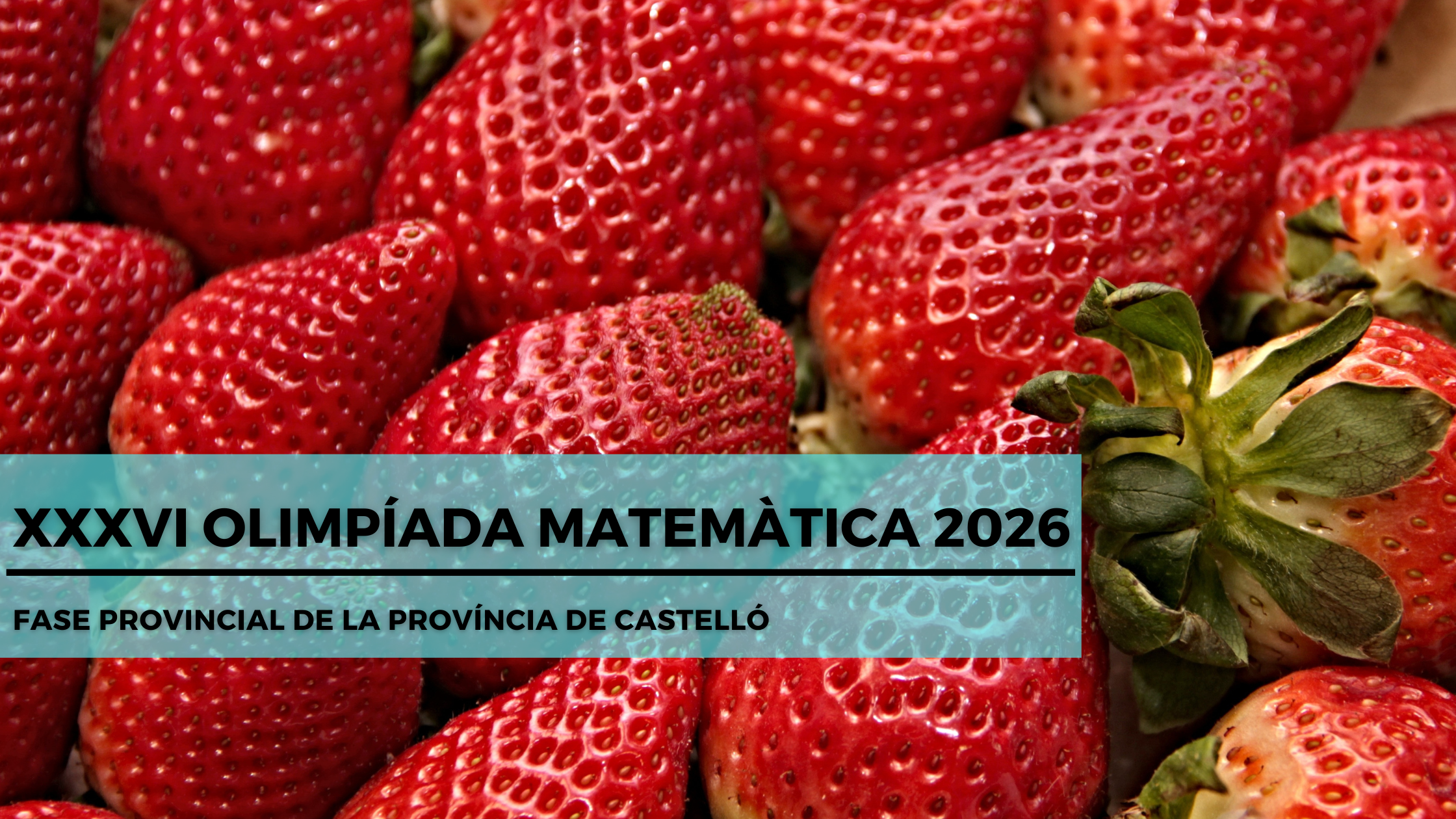 Fase Provincial 2026Cas