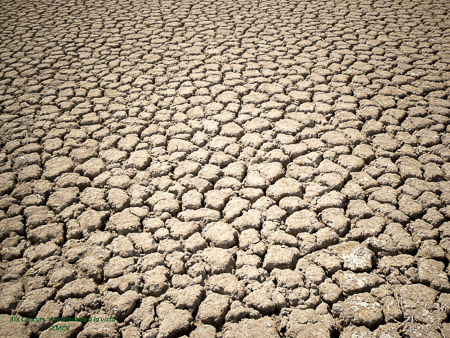 19-I-3P Fractalidad fatal