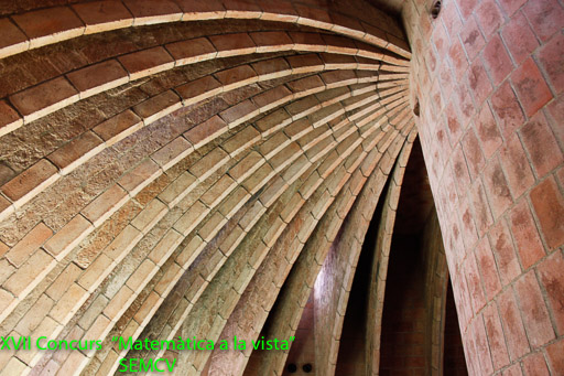 1r Premi - Haz de curvas