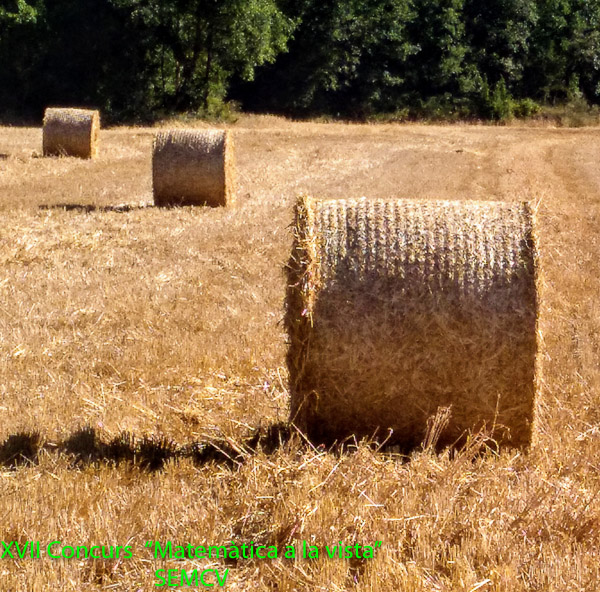 3r Premi - Cursa de cilindres 