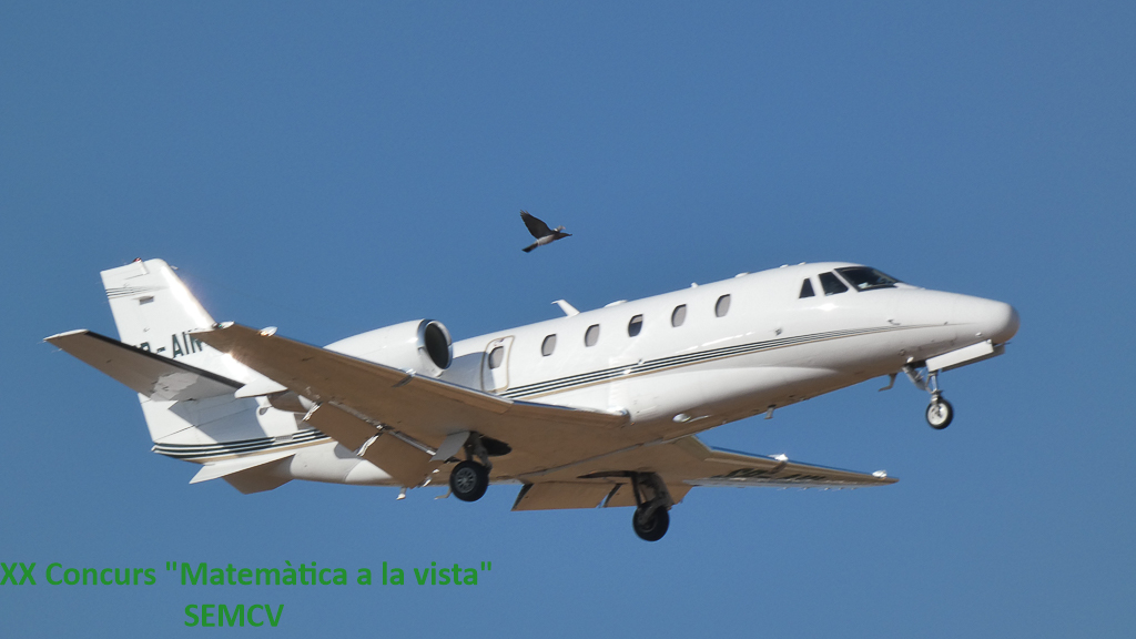 ME Apartat II - ¿Proporcionalidad?