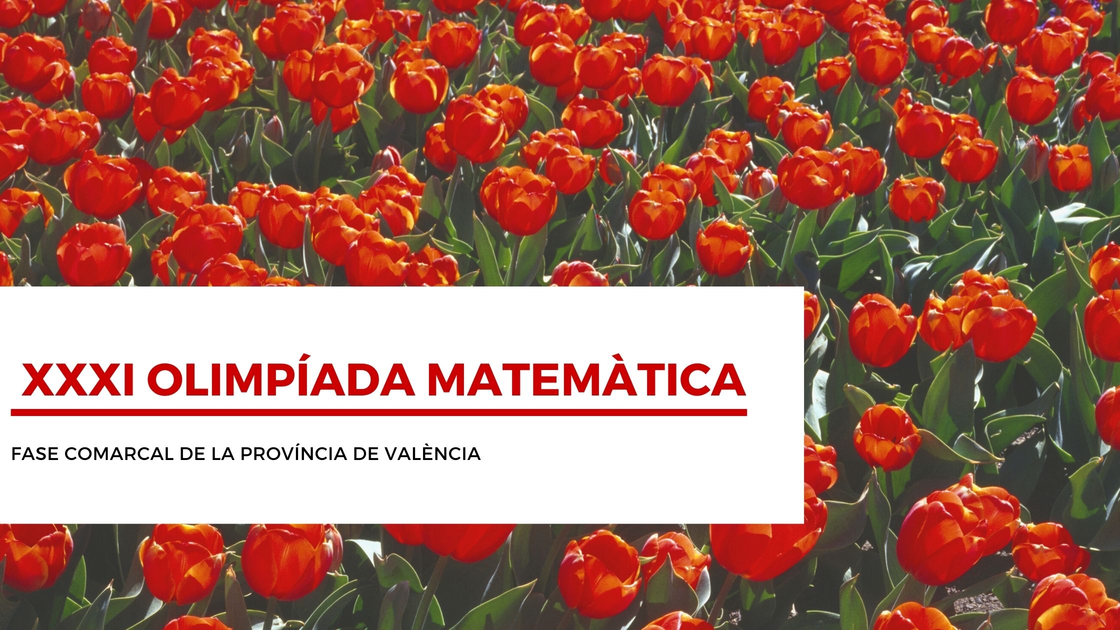 FASE COMARCAL VALENCIA 2021 BIS