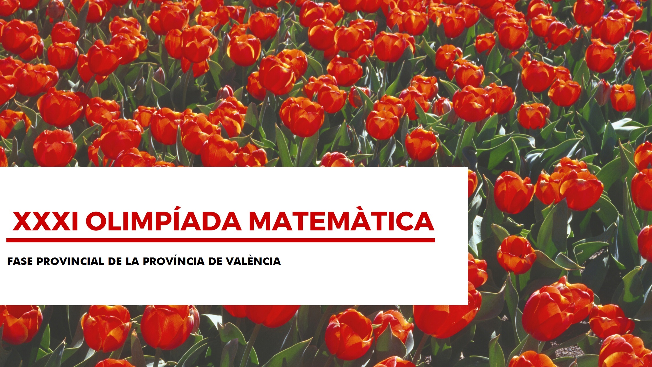 FASEPROVINCIALVALENCIA 2021